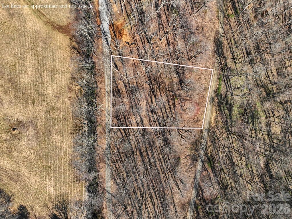 Lot 32 Strawberry Ridge Road, Little Switzerland, NC 28749