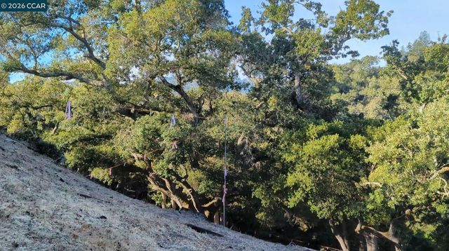 13 St James Court, Orinda, CA 94563