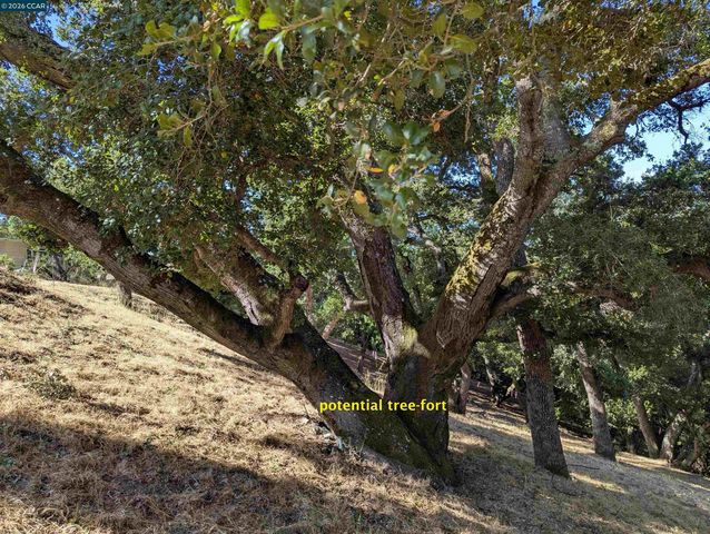 13 St James Court, Orinda, CA 94563