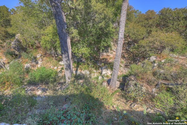 925 & 913 GLENN DR, Canyon Lake, TX 78133