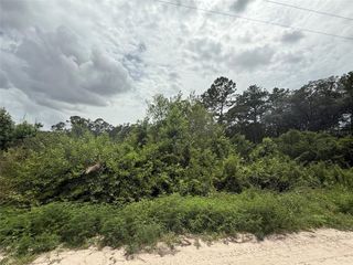 129 FISHERMANS DRIVE, Interlachen, FL 32148