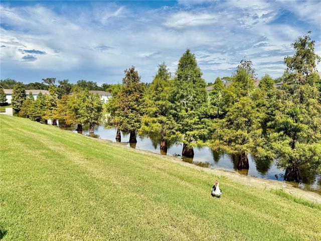 9912 ASHBURN LAKE DRIVE, Tampa, FL 33610