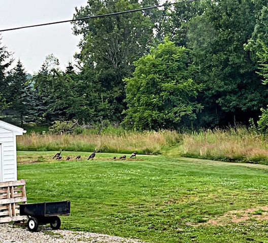 2242 W Lake Road, Vienna Twp, MI 48420