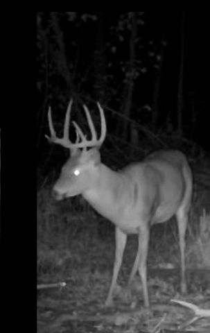 1440 Dimmers Road, Woodbridge Twp, MI 49274