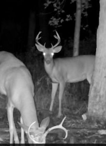 1440 Dimmers Road, Woodbridge Twp, MI 49274