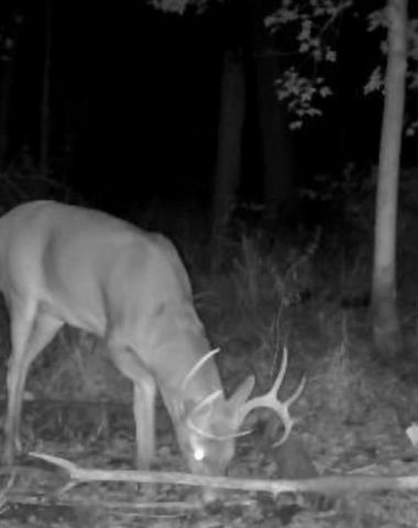 1440 Dimmers Road, Woodbridge Twp, MI 49274