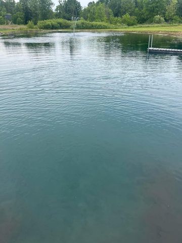 1440 Dimmers Road, Woodbridge Twp, MI 49274