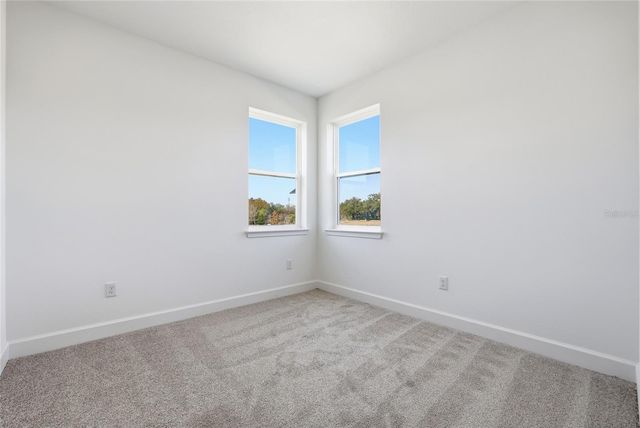 2007 WILD HERON COURT, Valrico, FL 33596