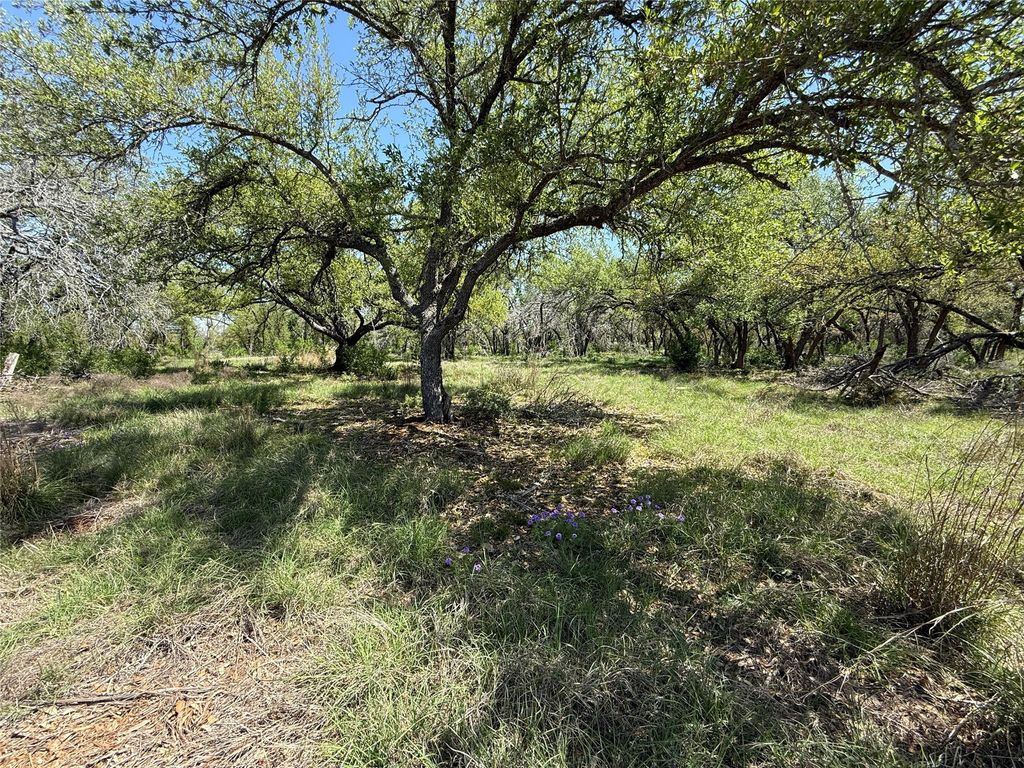 Lot 106 E Flying Owl DR, Johnson City, TX 78636