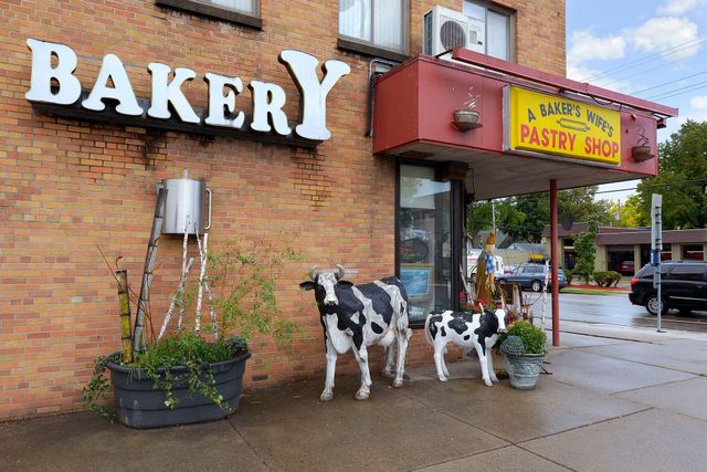 4445 31st Avenue S, Minneapolis, MN 55406