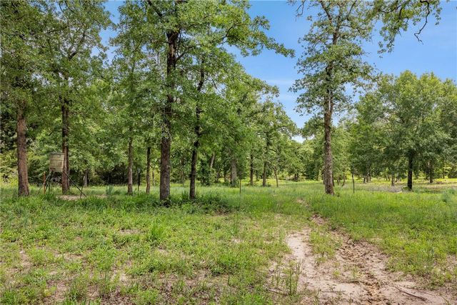3205 County Road 308, Caldwell, TX 77836