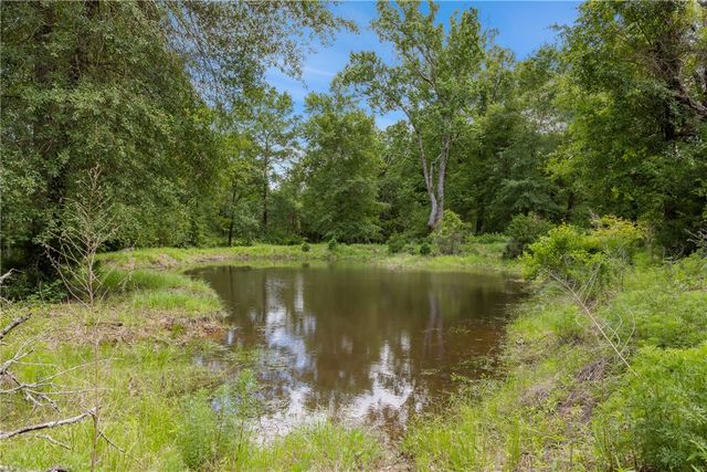 3205 County Road 308, Caldwell, TX 77836