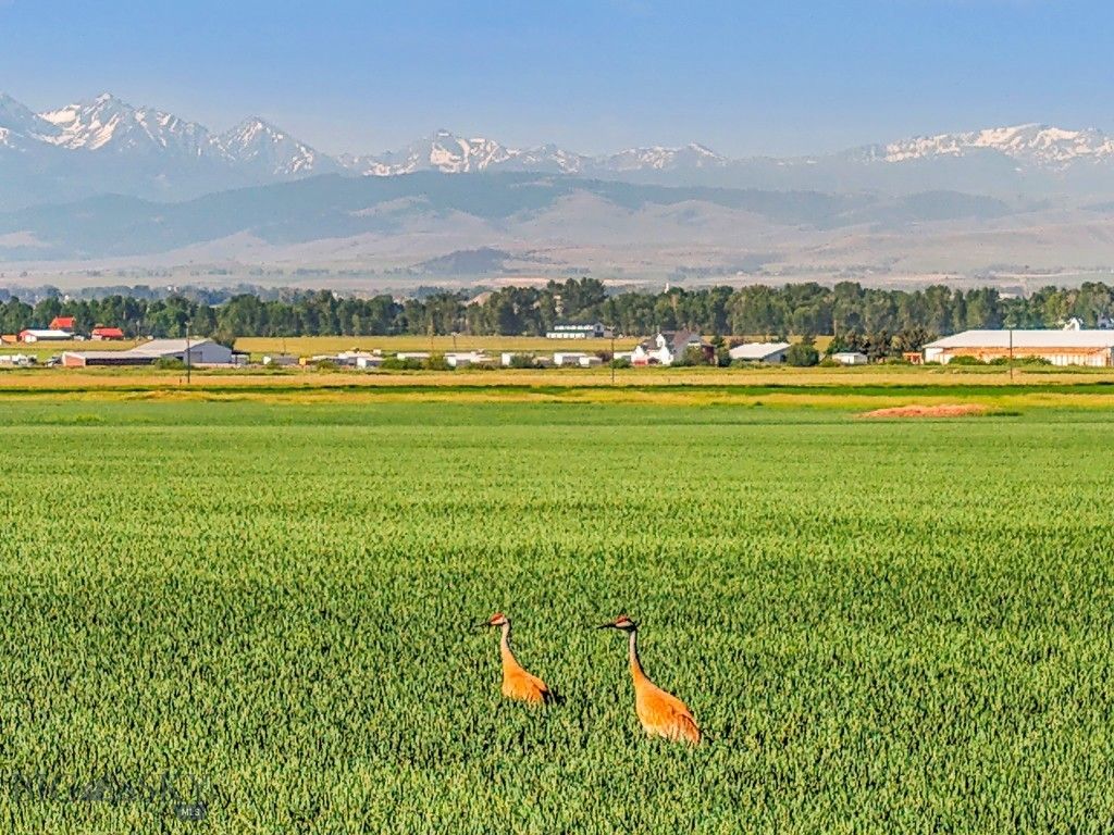 TBD Penwell Bridge Road, Belgrade, MT 59714 photo 2