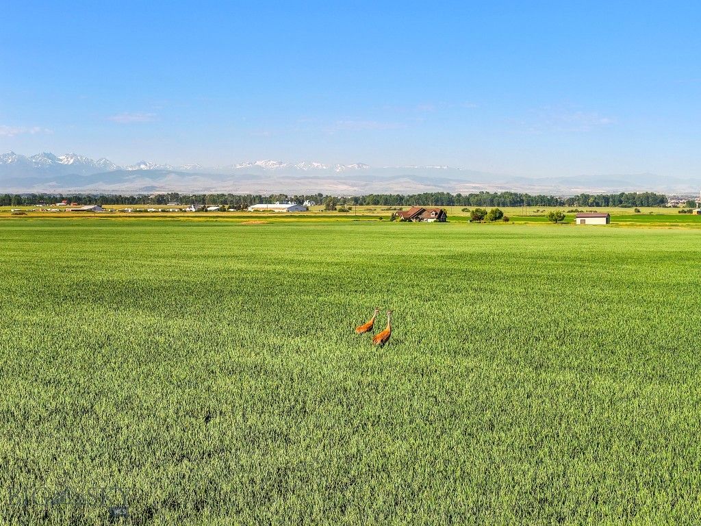 TBD Penwell Bridge Road, Belgrade, MT 59714 photo 6