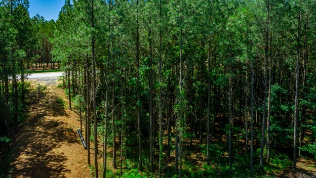 1163 Split Rail Way, Guild, TN 37340