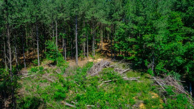 1163 Split Rail Way, Guild, TN 37340
