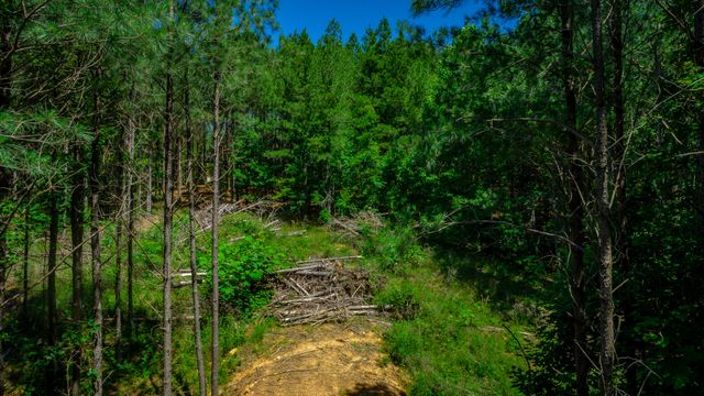 1163 Split Rail Way, Guild, TN 37340