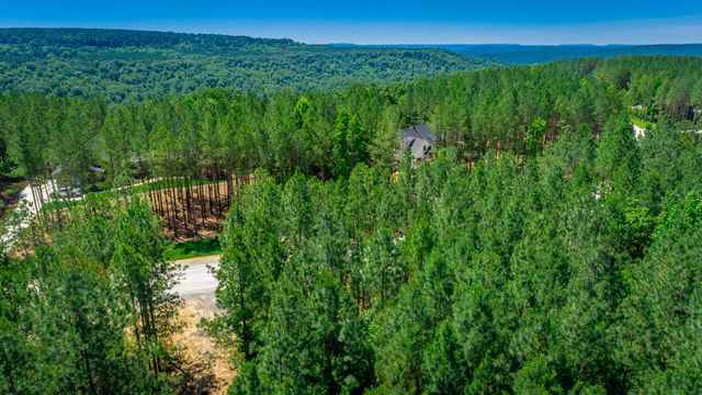 1163 Split Rail Way, Guild, TN 37340