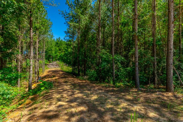 1163 Split Rail Way, Guild, TN 37340