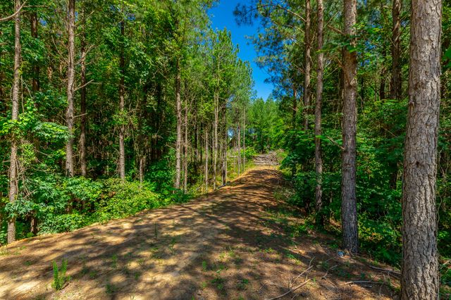 1163 Split Rail Way, Guild, TN 37340