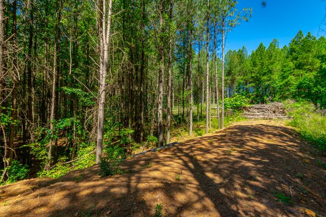 1163 Split Rail Way, Guild, TN 37340