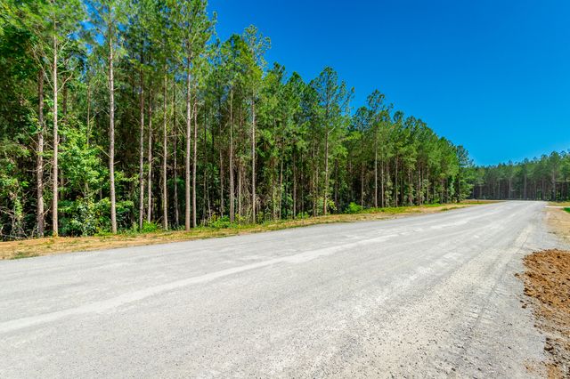 1163 Split Rail Way, Guild, TN 37340