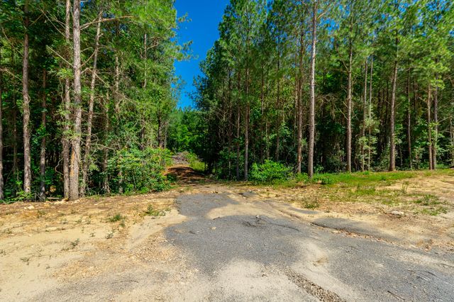 1163 Split Rail Way, Guild, TN 37340