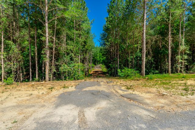 1163 Split Rail Way, Guild, TN 37340