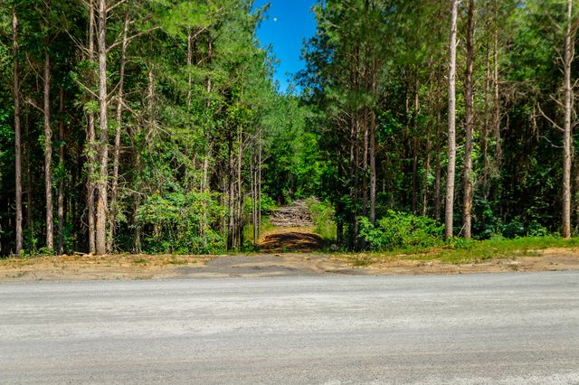 1163 Split Rail Way, Guild, TN 37340
