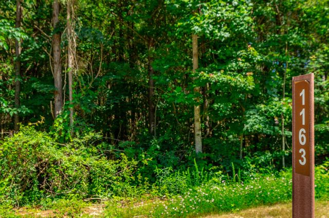 1163 Split Rail Way, Guild, TN 37340