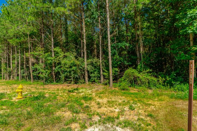 1163 Split Rail Way, Guild, TN 37340