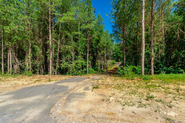1163 Split Rail Way, Guild, TN 37340