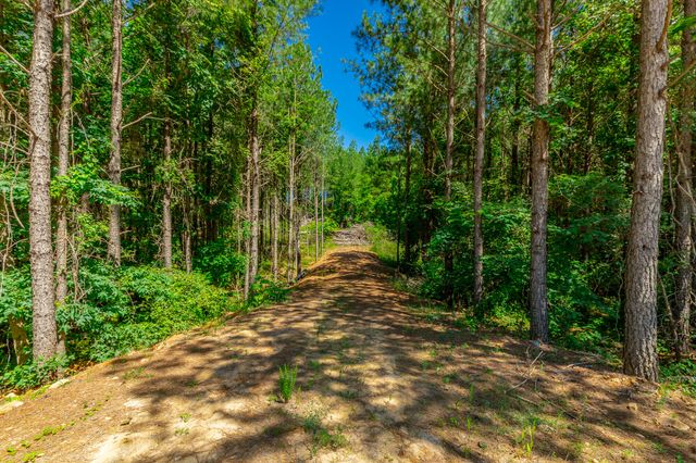 1163 Split Rail Way, Guild, TN 37340
