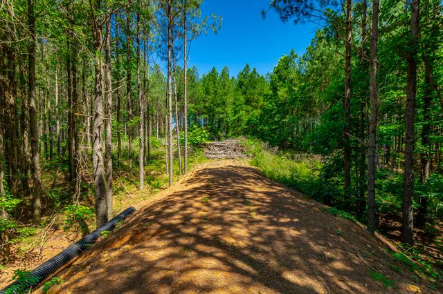 1163 Split Rail Way, Guild, TN 37340