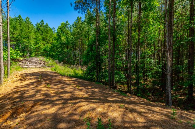 1163 Split Rail Way, Guild, TN 37340