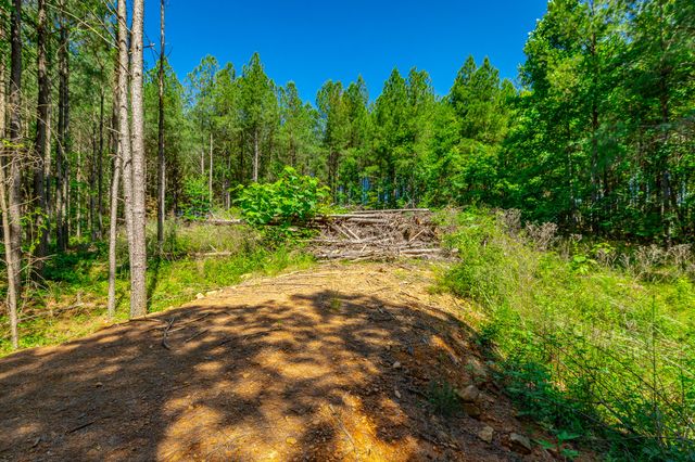 1163 Split Rail Way, Guild, TN 37340