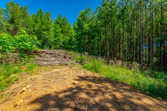 1163 Split Rail Way, Guild, TN 37340