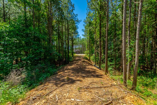1163 Split Rail Way, Guild, TN 37340