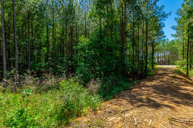 1163 Split Rail Way, Guild, TN 37340