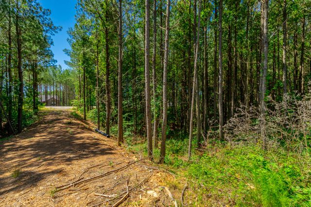 1163 Split Rail Way, Guild, TN 37340