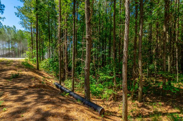 1163 Split Rail Way, Guild, TN 37340