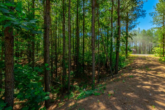 1163 Split Rail Way, Guild, TN 37340