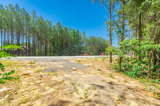 1163 Split Rail Way, Guild, TN 37340