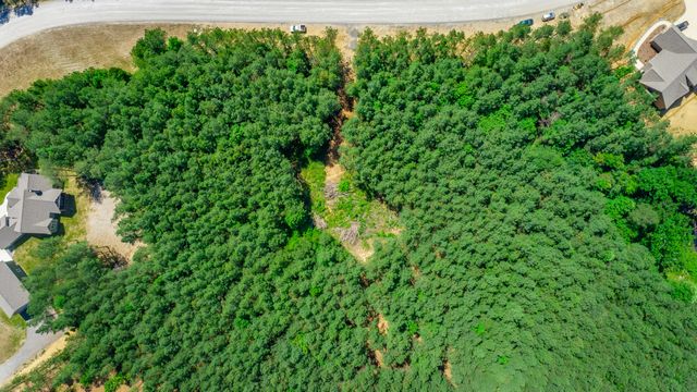 1163 Split Rail Way, Guild, TN 37340
