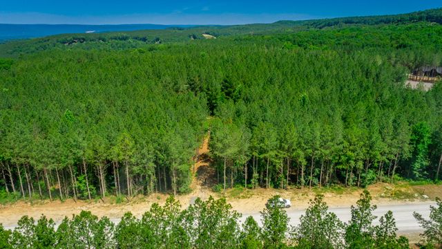 1163 Split Rail Way, Guild, TN 37340