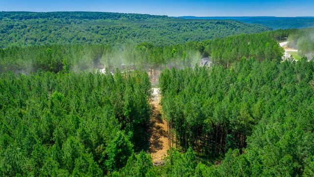 1163 Split Rail Way, Guild, TN 37340