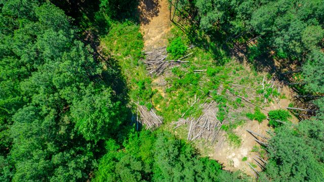 1163 Split Rail Way, Guild, TN 37340