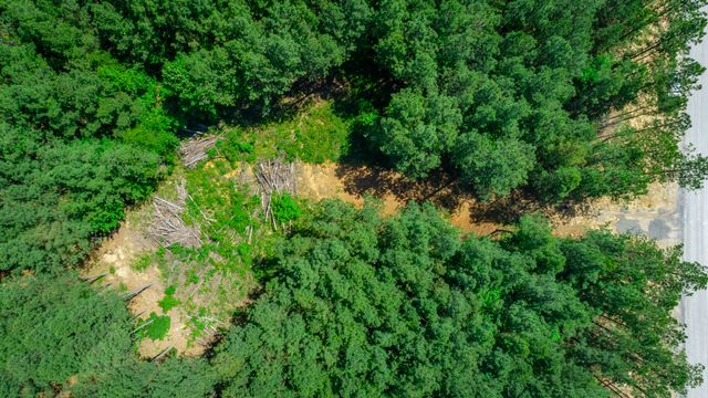 1163 Split Rail Way, Guild, TN 37340