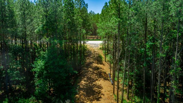 1163 Split Rail Way, Guild, TN 37340