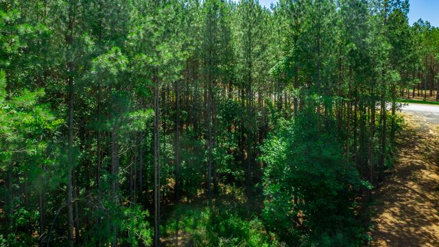 1163 Split Rail Way, Guild, TN 37340